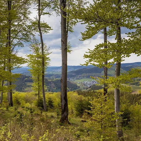 Feldmann-schuette Apartment