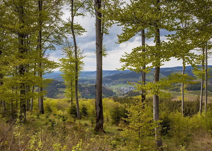 Feldmann-schuette דירה